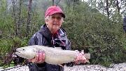 Trophy Marble trout, September AA, Slovenia fly fishing
